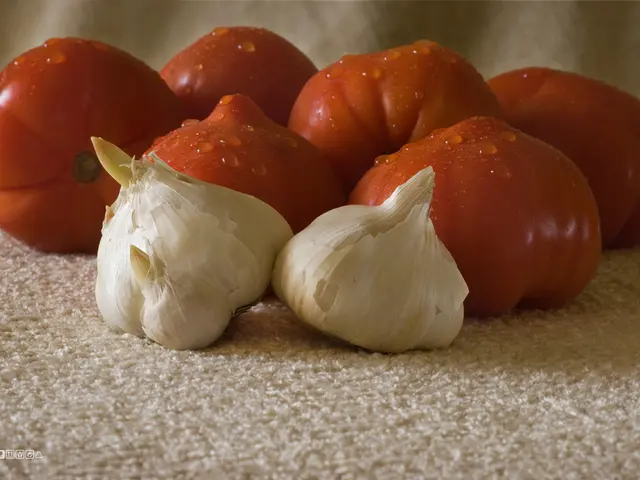 Onion farming as an alternative in solar energy: a surprising solution to energy production...