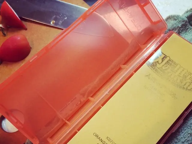 Concerns over lack of satisfying endgame content for built characters upon Borderlands 4's initial...