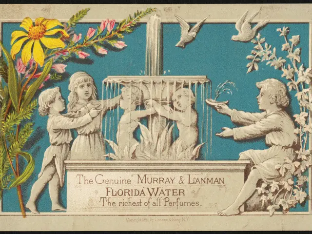 Activist Endeavor Embedded in Jessica J. Lee's Nature Writing