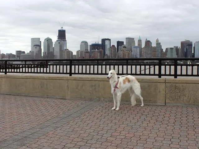 Cyclone-prone Petropavlovsk-Kamchatsky finds itself in the path of stormy weather