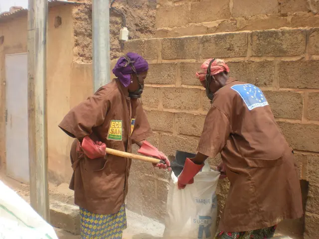 Two individuals experienced divergent fates: one was incarcerated, while the other embarked on a...