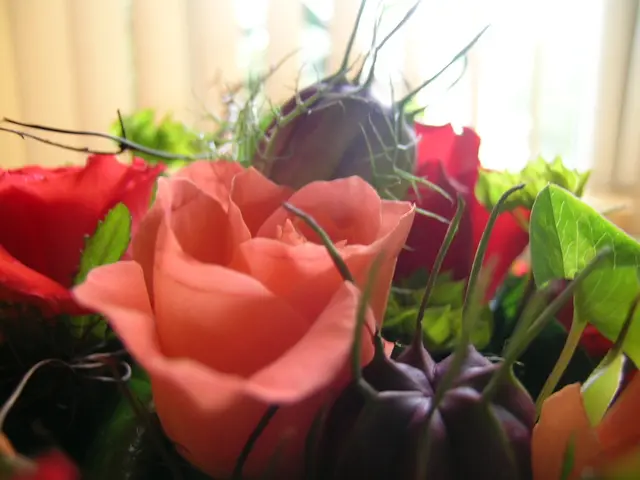 Fragrant peaches create an unexpected aroma trend for autumn, set to be ubiquitous this season