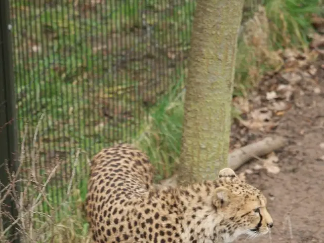 Stress-free testing made possible through the Nullable design pattern, eliminating the need for...