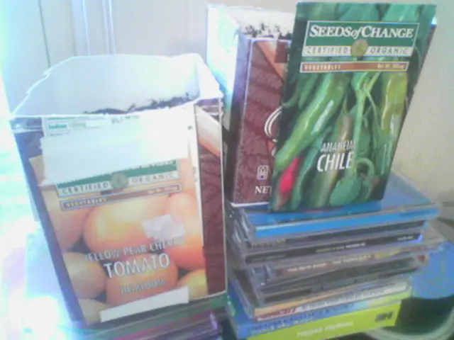 API Security Flaw in Argo CD Exposes Stored Repository Credentials