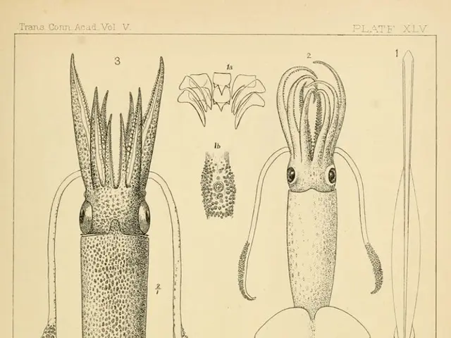 Axolotl's Hidden Mysteries Unveiled