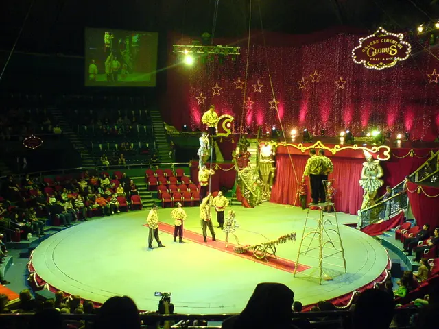 Enduring Circus Performances Spanning Decades