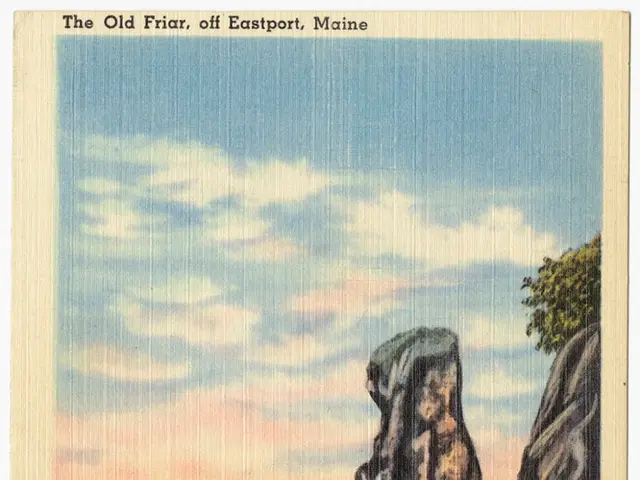 Revealed Insights from Users' Apocalyptic Nightmares