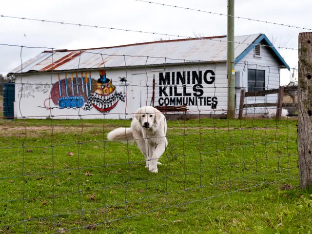 Discovering new joys and experiences with growing confidence, she embarks on a journey of personal...
