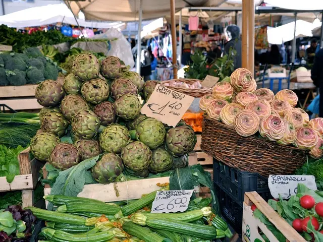 Journey Account: Jadebay to Ammerland