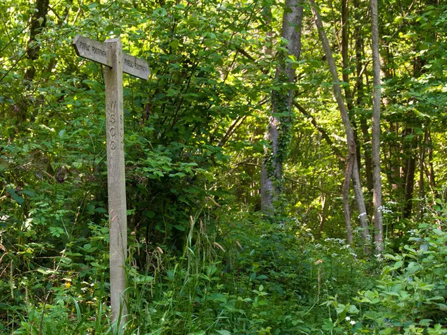 Solutions and Suggestions for Quordle on Monday, 8th September