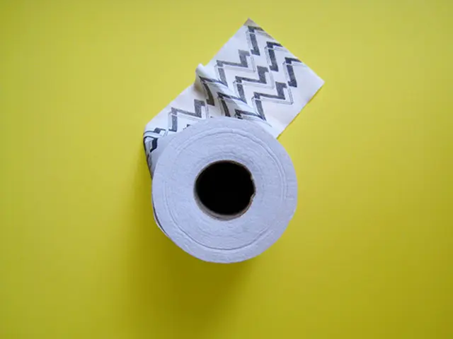 Plaque compositions containing fibers: an explanation.