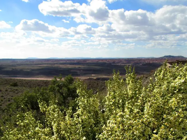 Five Fascinating Aspects Concerning Venus