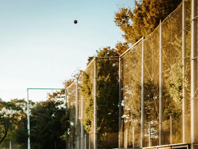 Continuation of Boardriders Japan Collaboration by Authentic Brand Group