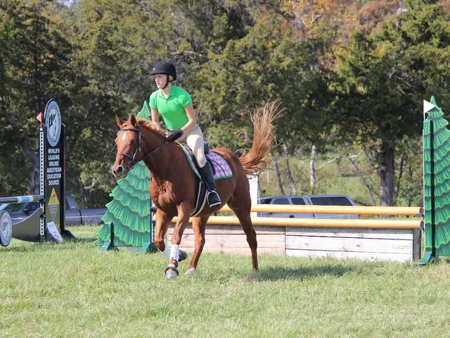 Building a Collaborative and Progressive Training Framework Between Teacher and Learner (First...