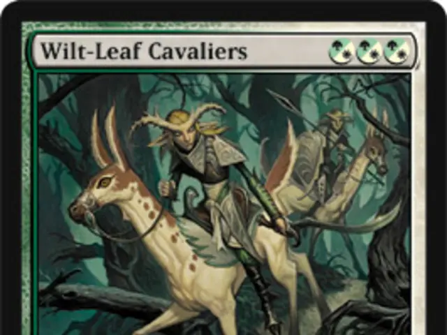 Riding with the Term 'Forward': Its True Meaning Explored