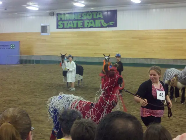 Discovering a Balance Between Horses and Financial Wealth