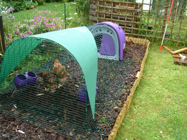 Farm will reside within the nursery