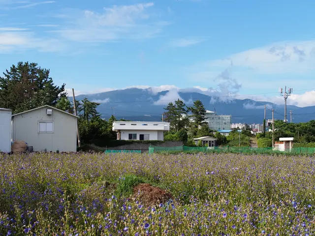 Alternative Energy Resources Explored