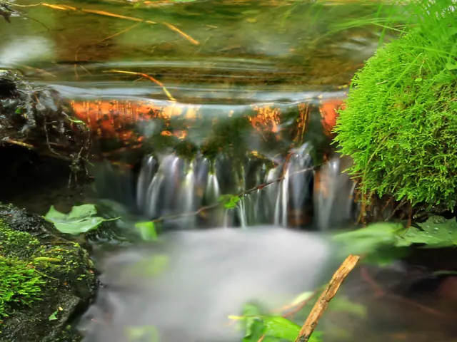 Energy Districts Regulating Energy Transfer in the Ecological Network