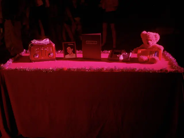 Royal Visit by Prince Harry Sparks Debate: Is He Drawing the Limit?