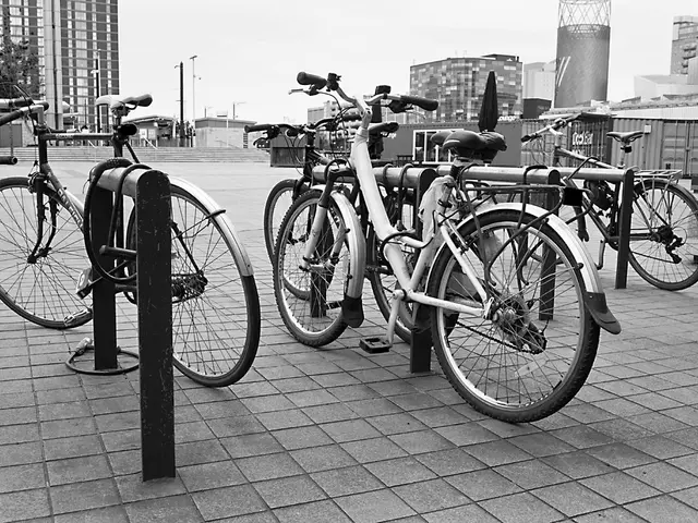 Stolen: Top-tier pedal electric bike (LPI-NDH)