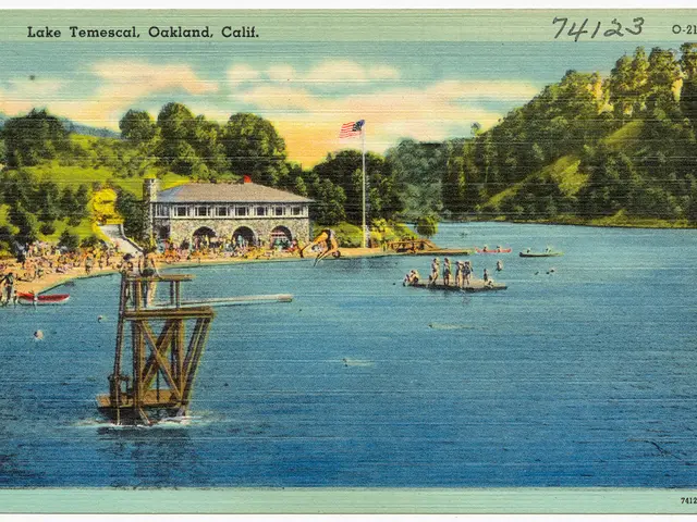 More than a dozen individuals have vanished in Côte d'Ivoire following a hippo-induced capsize of a...