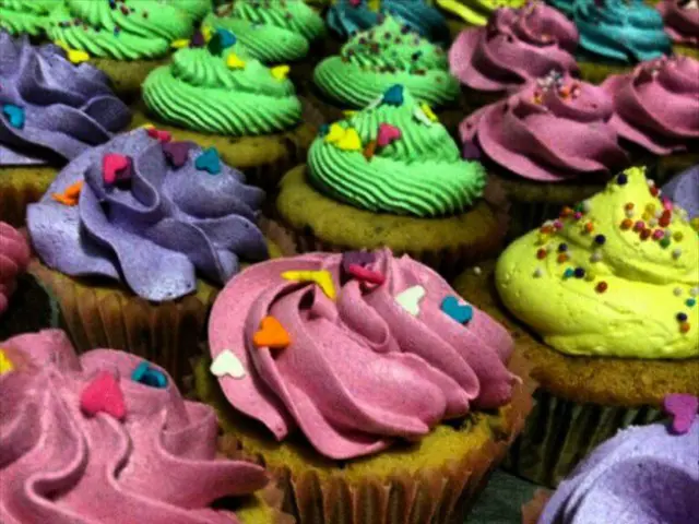 Top 14 Outstanding Chocolate Cupcake Recipes to Satisfy Your Sweet Tooth