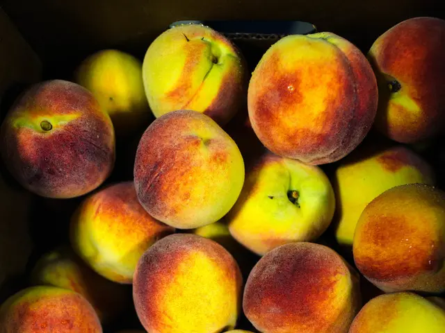 Baked Apples with Lattice Crust: A Test of Success - Pinterest Recipe