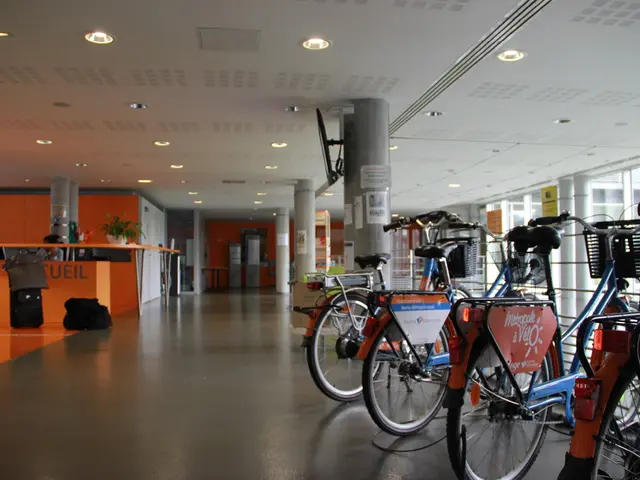 Authorities seek individuals who may have observed a physical assault.