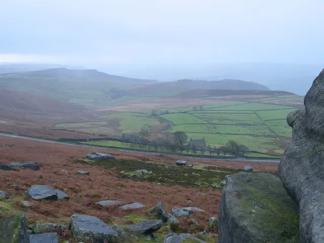 Declining Pistachio Tradition on a Greek Island