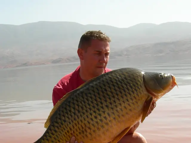 Person living in Minsk successfully catches a 10-kg pike in the heart of the city