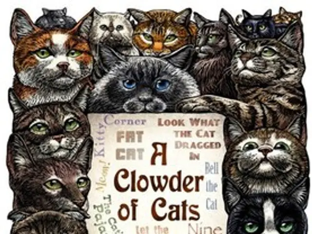 Unofficial UPSSSC PET Answer Key for September 6 and 7 Exams Available for Review