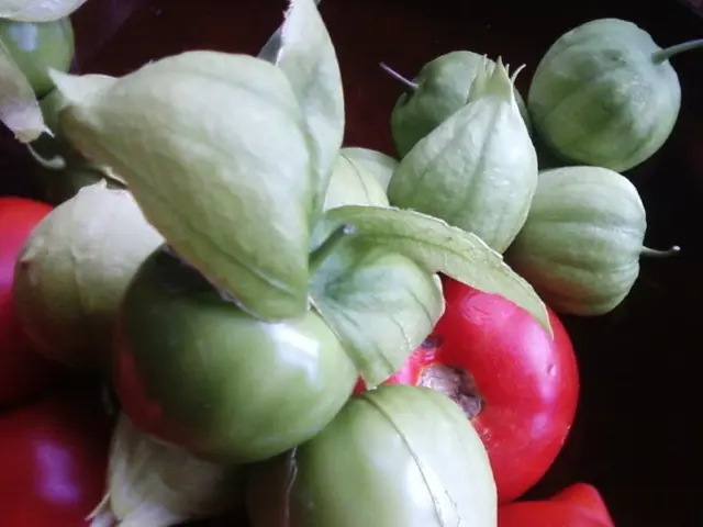 Cultivating a Nutritious Diet through Home Grown Produce