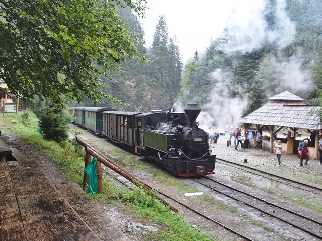 Overseeing the intricate operation of a steam plant in a multi-user setting demands a blend of...