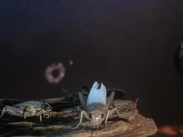 Activities Involving Aquatic Cultivation and Terrestrial Agriculture