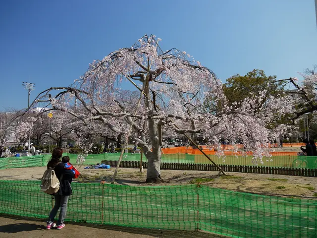 Turkish authorities reportedly haven't initiated any steps to reclaim the confiscated funds...