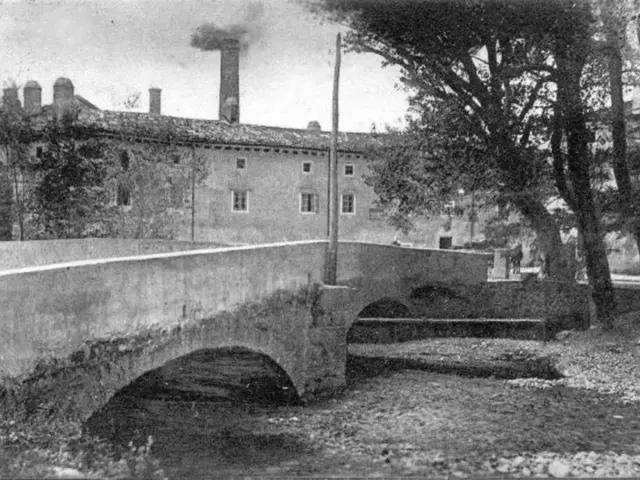 Large-scale financial losses, one issuance of an arrest warrant, discovery of three clandestine...