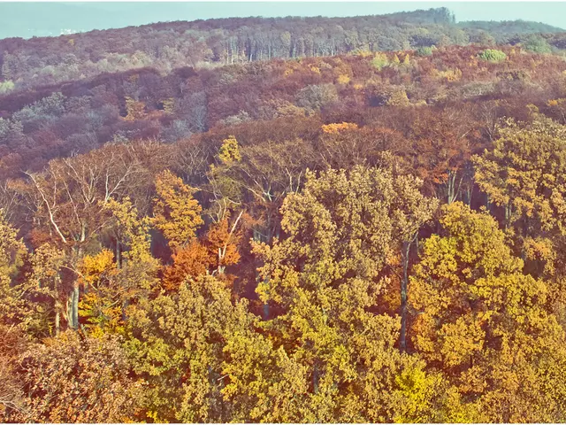 "Forest Service Employees Issue Warnings About Deleterious and Offensive Effects of Cutbacks"