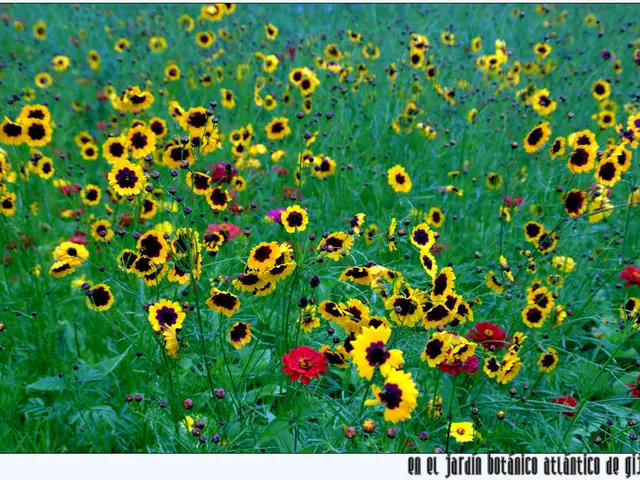 Red Dwarf System Habitability - Definition and Comprehensive Overview - Astrobiology Reference...