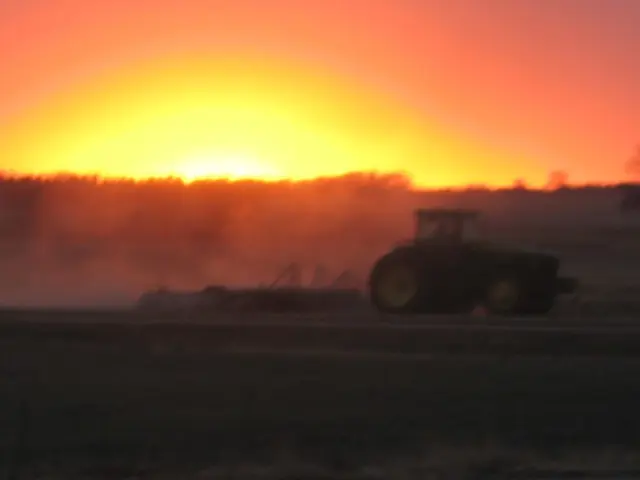 Tractor overturn incident leaves two hurt in wheat field