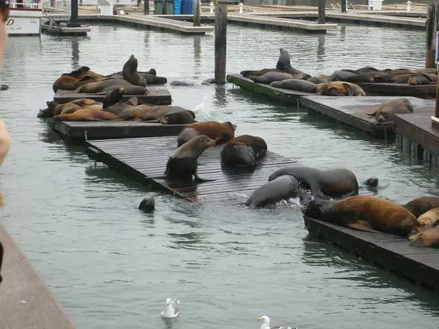 Comparing Sealants: Acrylic vs. Coal Tar - A Discussion on Their Merits