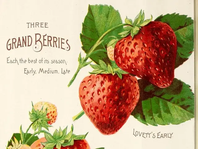 Garden Attraction for Robins: Plant this Certain Tree for a Flurry of Visitors - Ideal Planting...