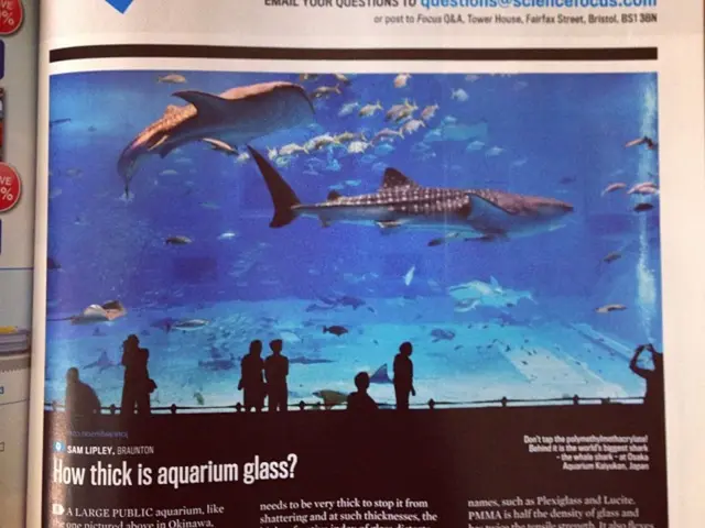 In Georgia, a species of fish that walks on land is found in the waters, but such a state is deemed...