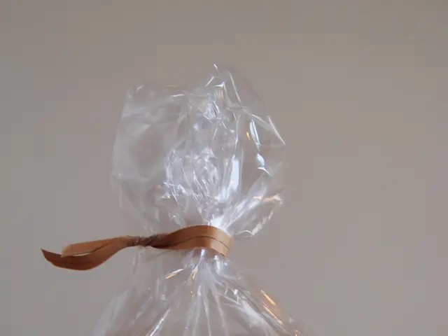 Sorting through Yellow Bin Recyclables: Ongoing Issues Explained