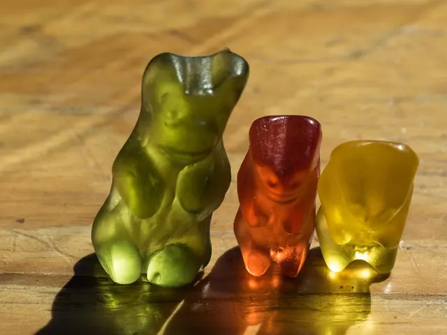 North Texans exhibit an intense fascination with an unspecified matter, fueling widespread...