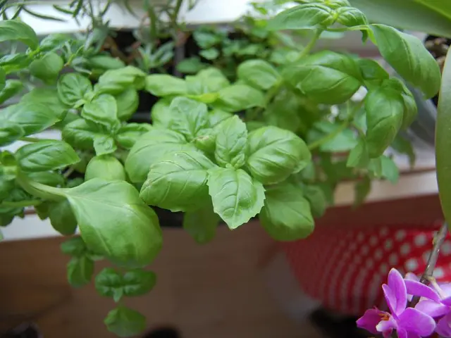 French administration reluctantly steps down following motion of no confidence in National...