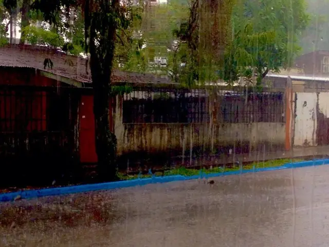 torrential downpours inundate streets and basements across western North Rhine-Westphalia