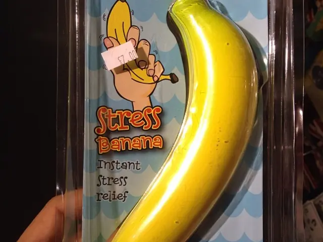 Impact of Glucocorticoids on Stress and Cognitive Processes in the Brain