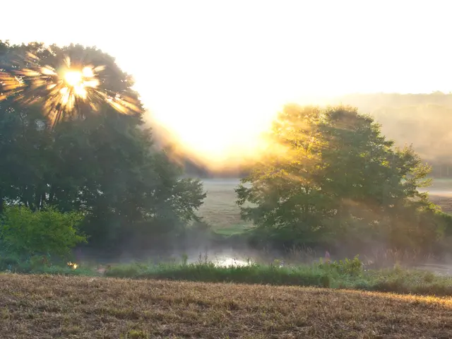 Bank of England expands revelation of climate-related risks in its lending practices
