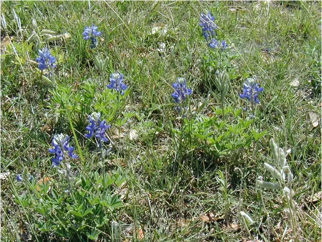 Gardening enthusiasts, the time for Master Gardener's plant sale has arrived!